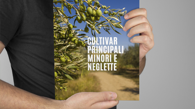 Cultivar Neglette